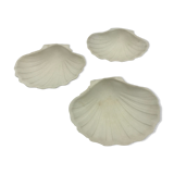 Set of 3 scallops in biscuit
