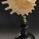 Cabinet of Curiosities Stellaria solaris shell on base