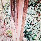 Garden door