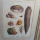 Framed botanical plank, vegetables