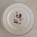 2 dishes and 1 plate iron earth Salins