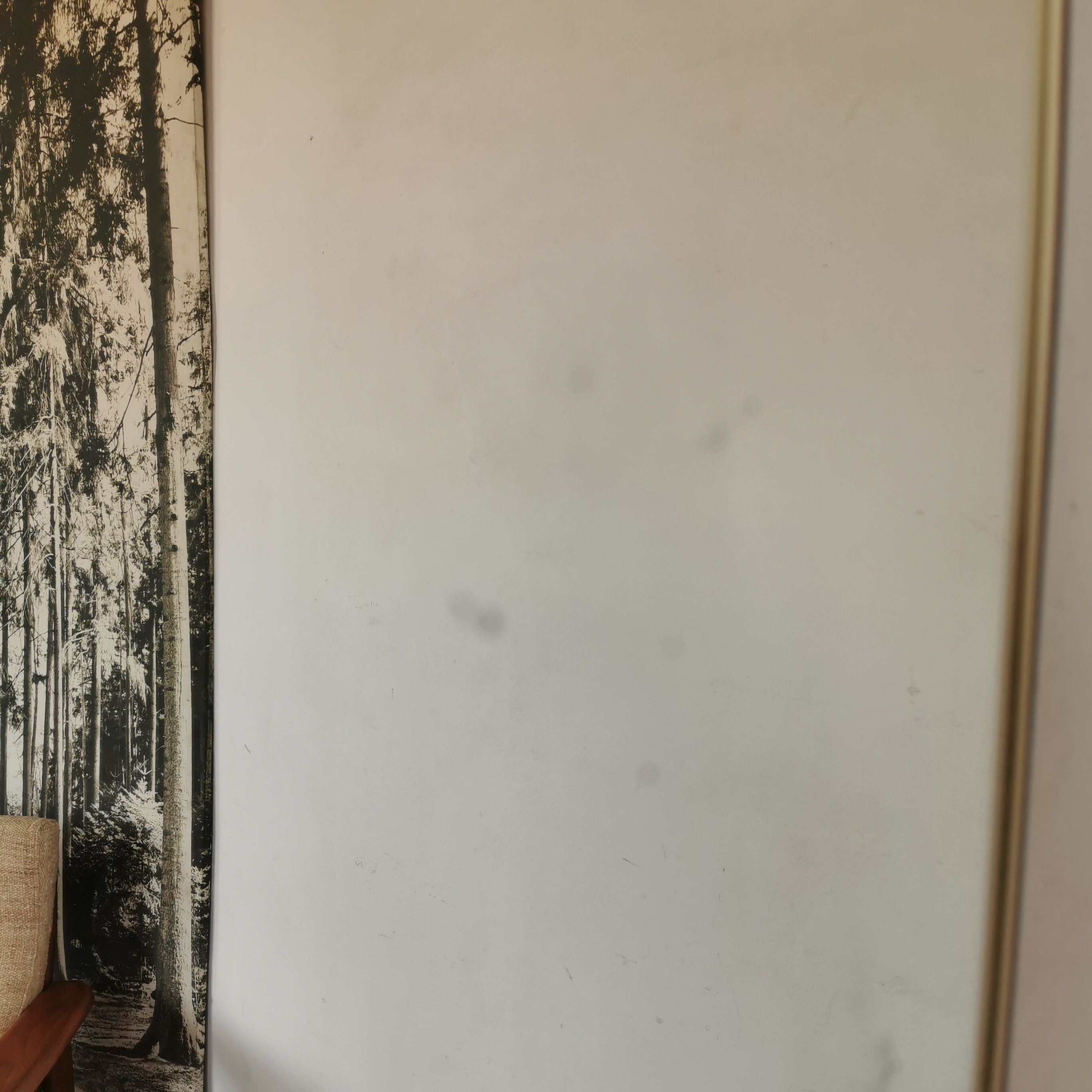 Rearview mirror Schon form spiegle 60s