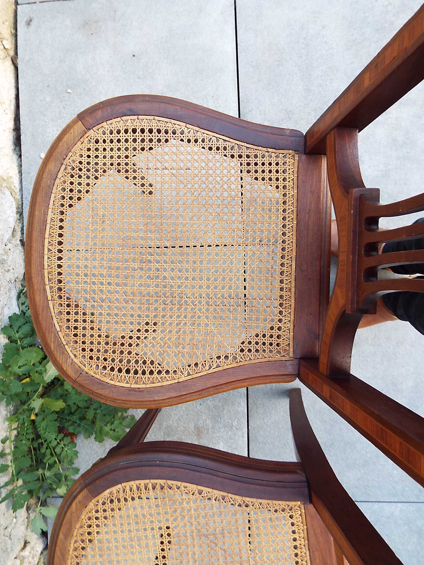 2 Louis XVI style chairs