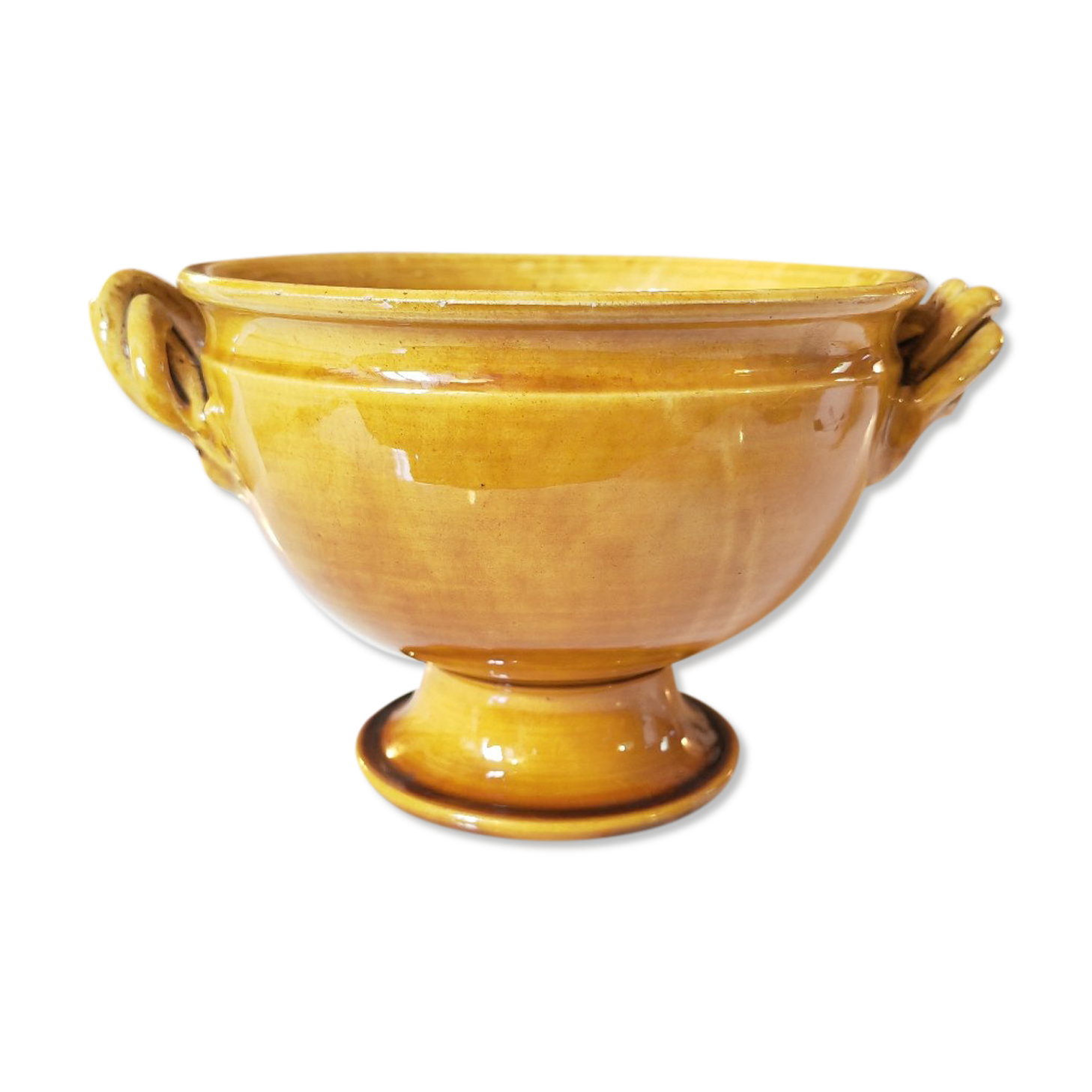 Coupe Aegitna Vallauris