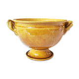 Coupe Aegitna Vallauris