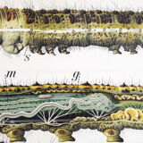 Poster of the 20th century Paul Pfurtscheller Zoological wall graphic, Caterpillar, 1911