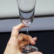 7 verres à porto ou vin blanc en cristal Baccarat ou Saint louis