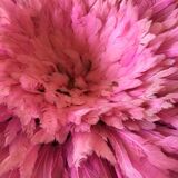 Juju Hat pink headdress 80cm