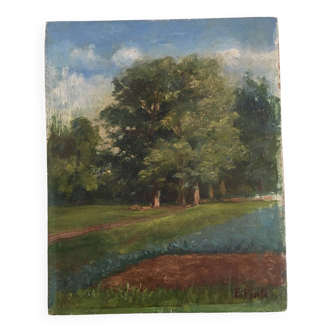 Old painting Forest landscape.