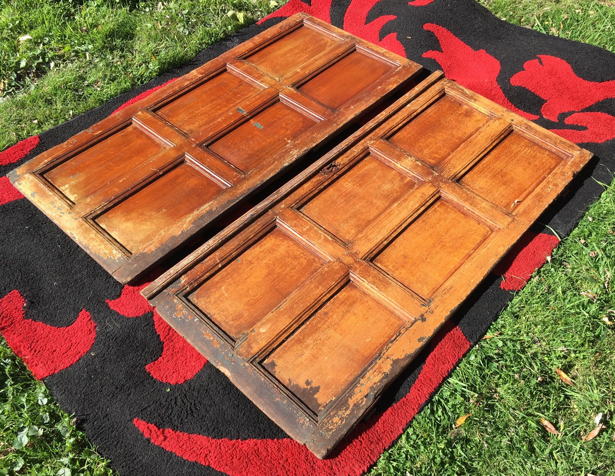 Pair of eighteenth closet doors