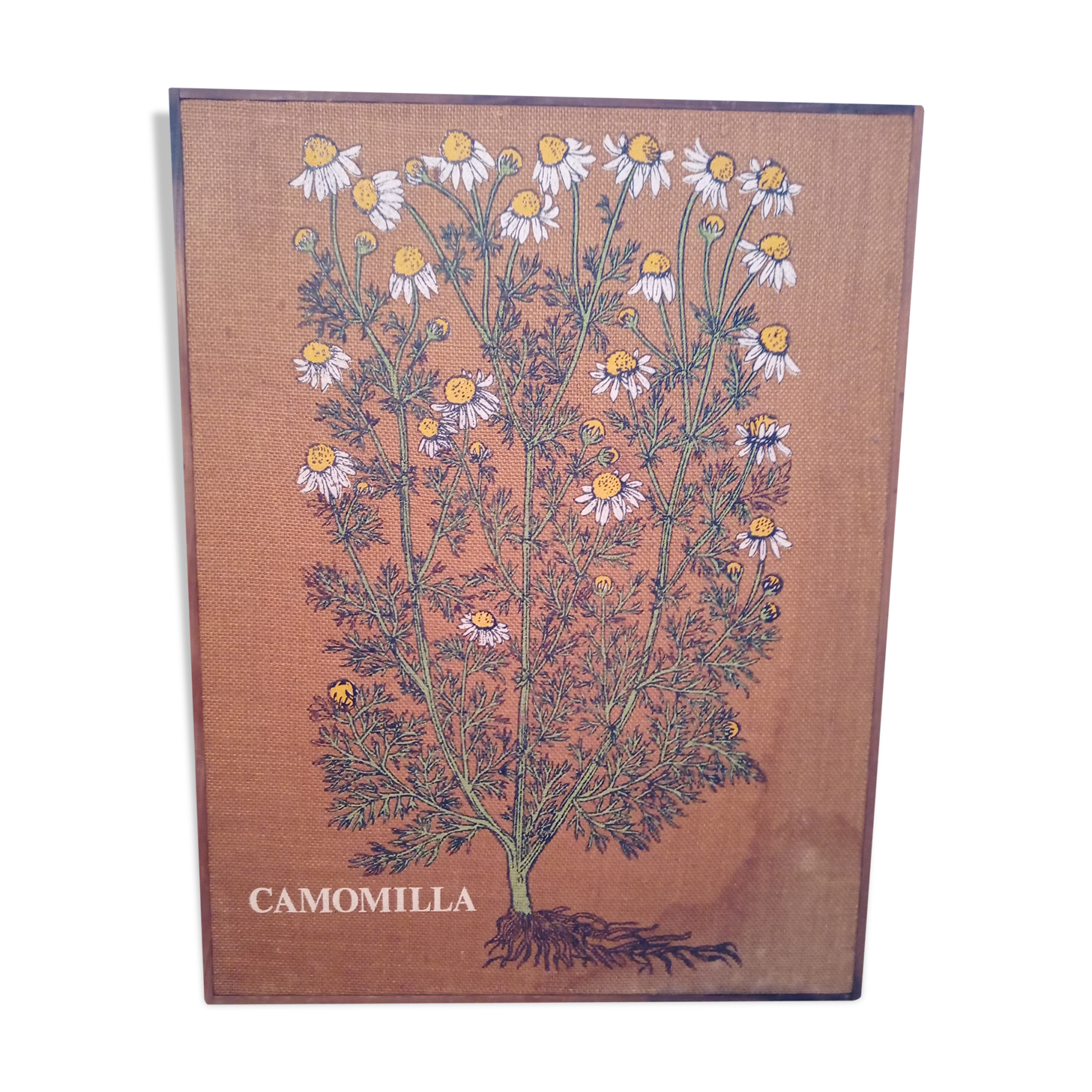 Oil on flaxseed canvas on chamomile wood