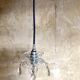 Blue tassel walker