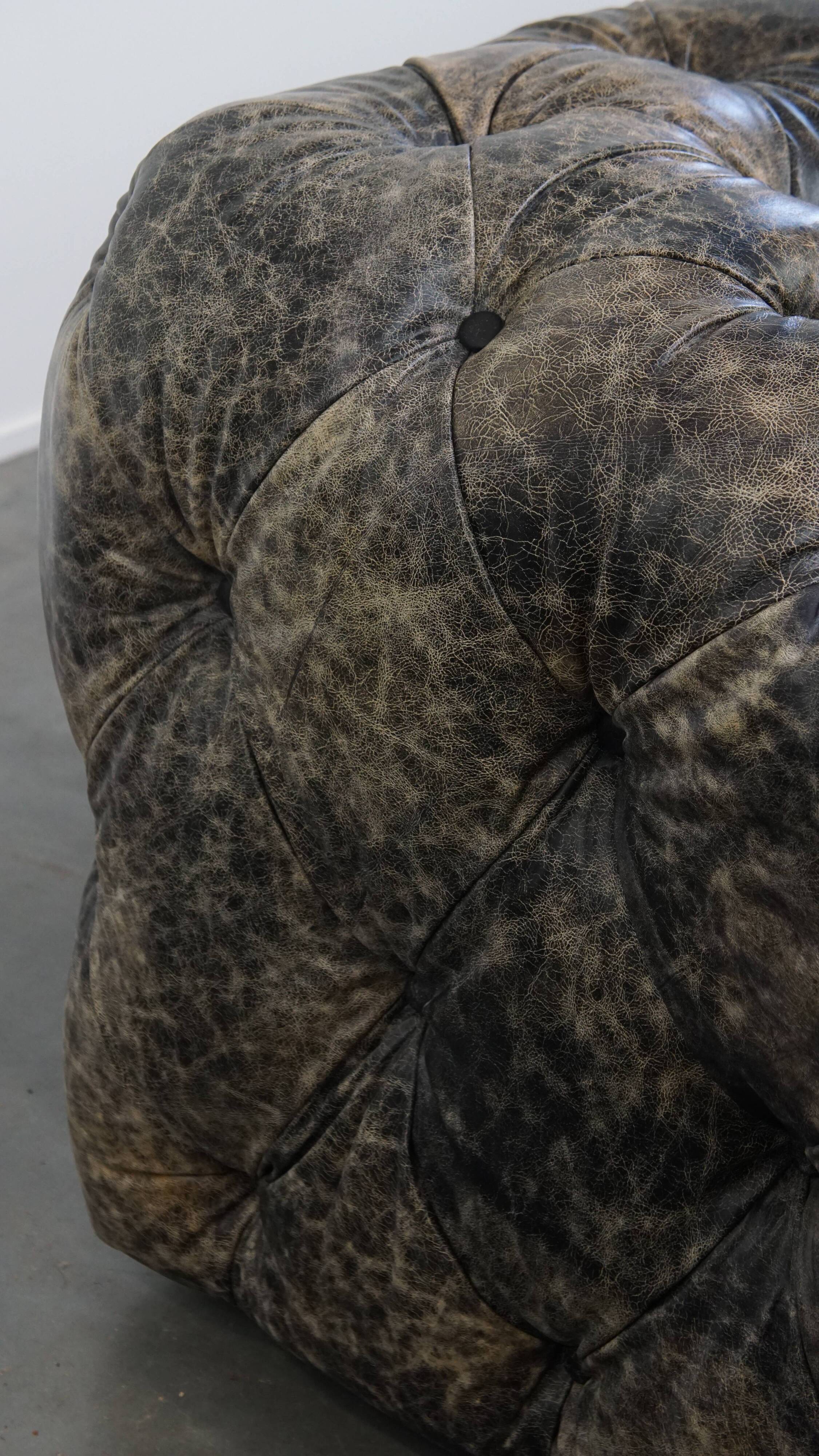 Chesterfield cowhide sofa