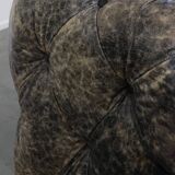 Chesterfield cowhide sofa