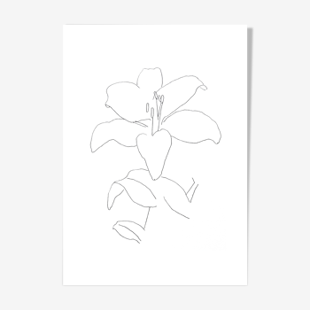 White lily, dessin minimaliste
