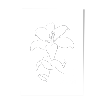 White lily, dessin minimaliste