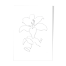 White lily, dessin minimaliste