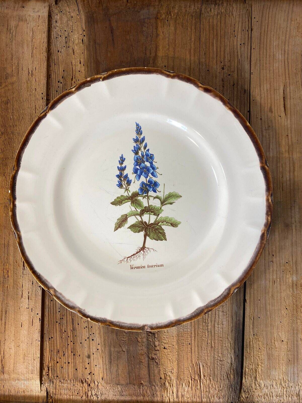 Earthenware plate with botanical decoration, Earthenware of Haute Provence