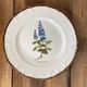 Earthenware plate with botanical decoration, Earthenware of Haute Provence
