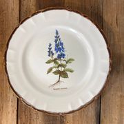 Earthenware plate with botanical decoration, Earthenware of Haute Provence