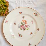 6 mismatched old flat plates
