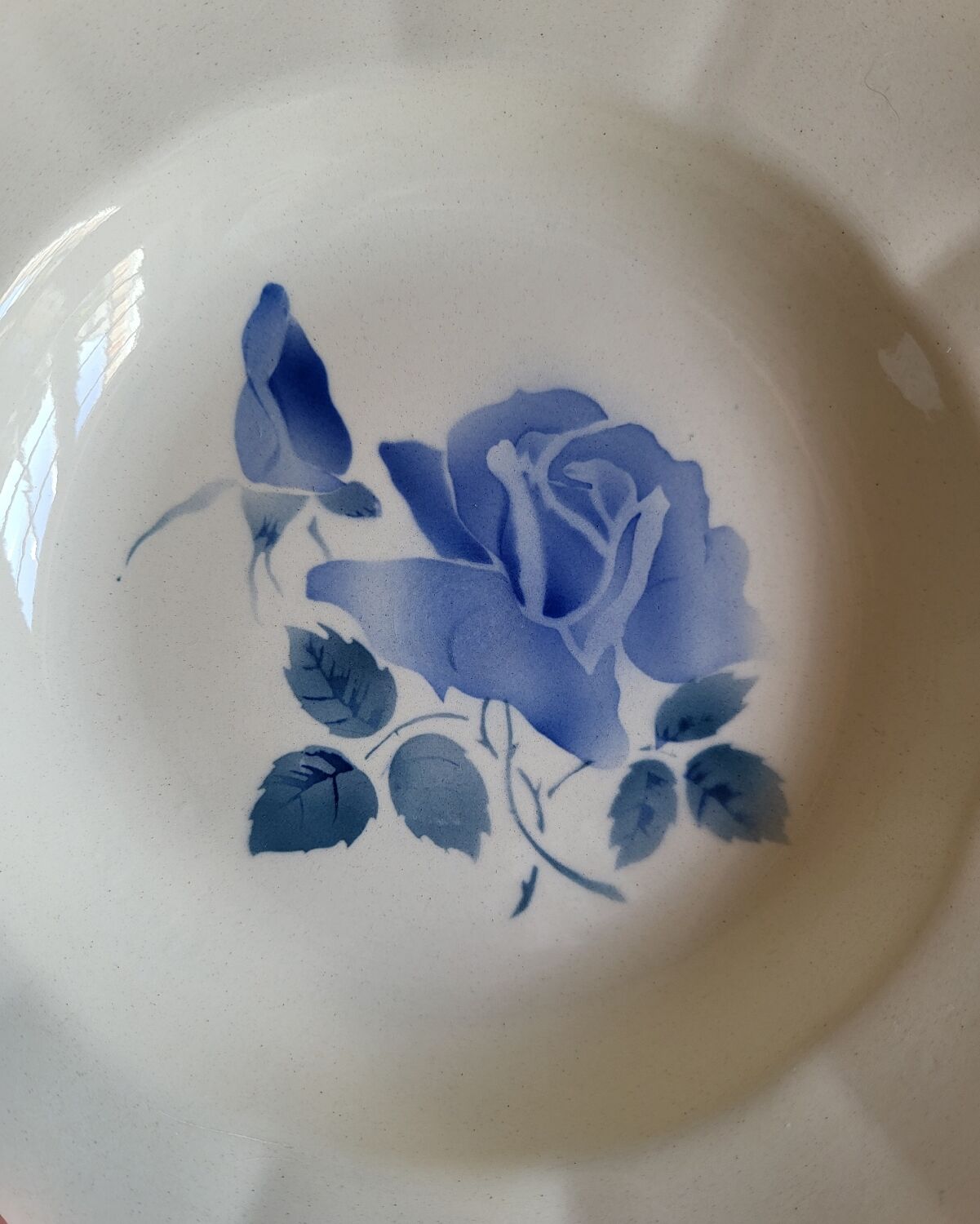 7 vintage deep plates in earthenware from Digoin Sarreguemines