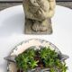 Plate Earth & Sea Seagulls & Seashells