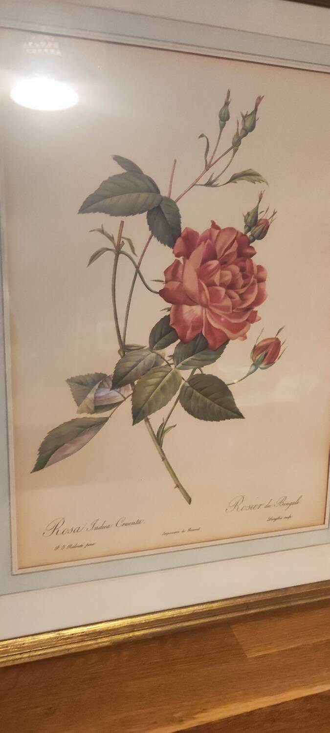 Redouté executive trio