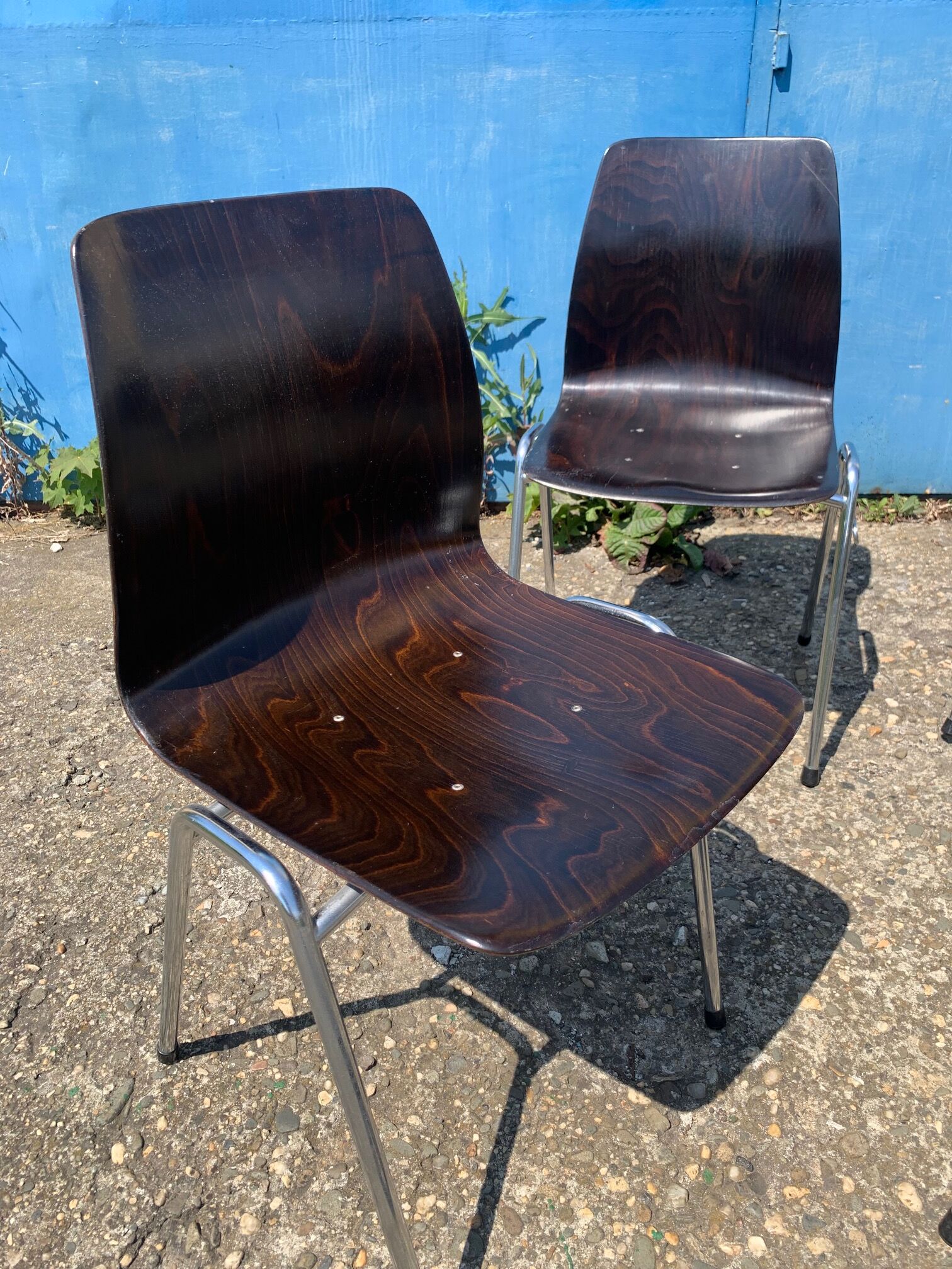Set of 2 Galvanitas S26 Pagholz chairs, 1960s