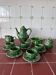 14-piece coffee/tea set – Barbotine "Chou" – Caldas da Rainha, Portugal