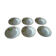 6 assiettes fleurs roses creuses anciennes Saint Amand faience