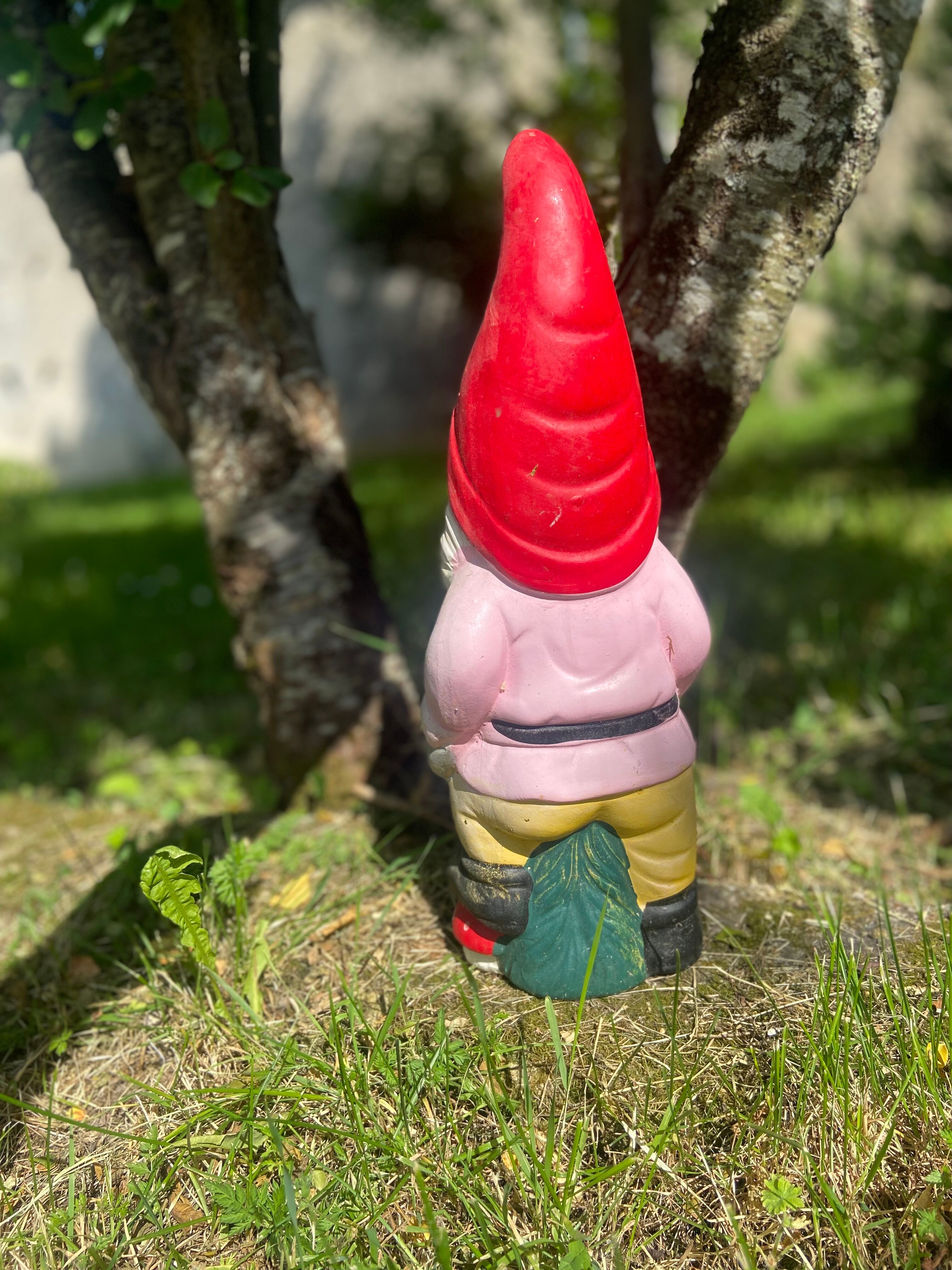 Garden gnome, terracotta