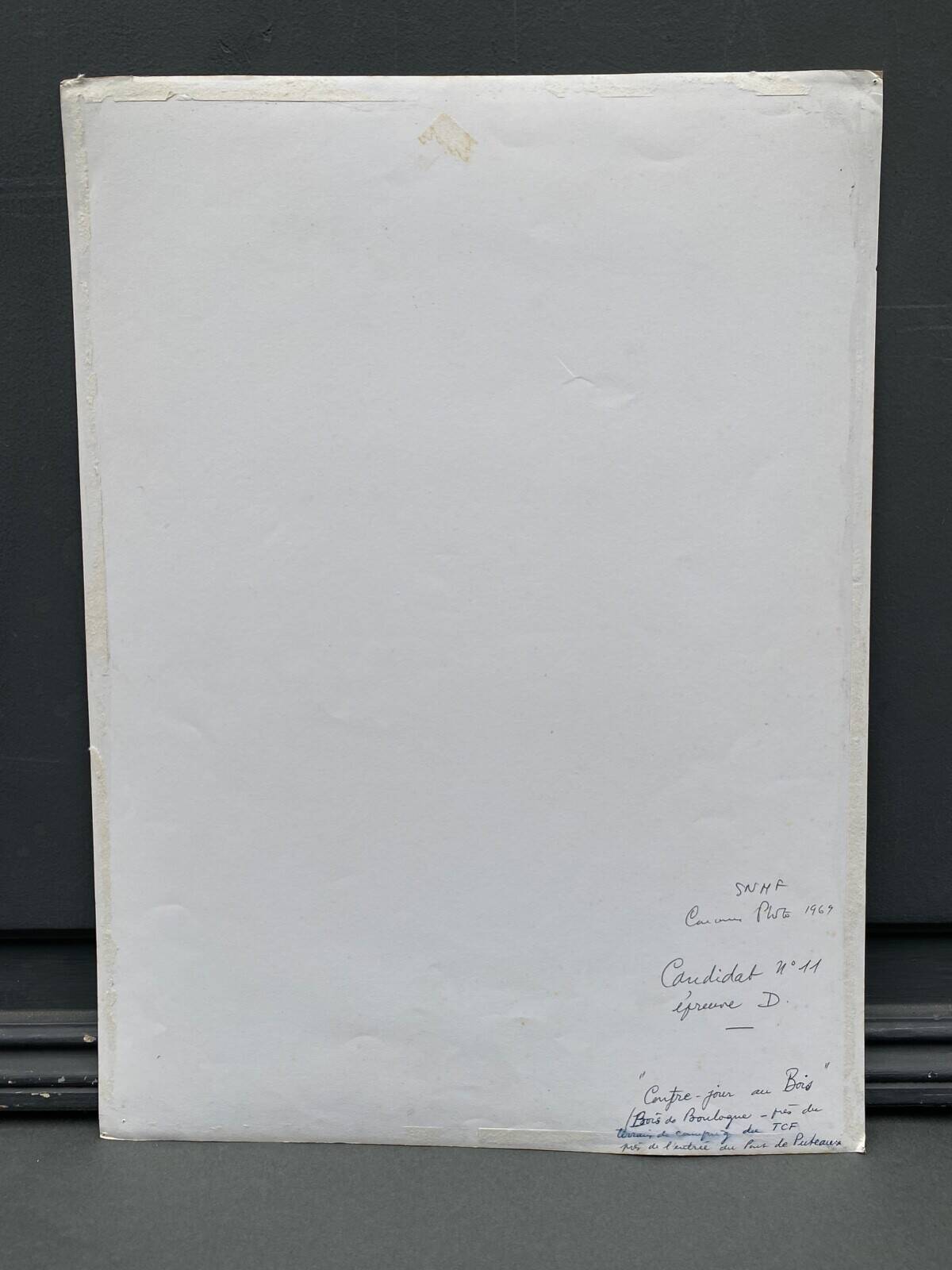 Silver gelatin photograph by Bernard Darot, backlit in the Bois de Boulogne, SNMF