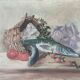 HST painting "Still life with basket and pike" signed H. Baillet 1912