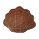 Boîte coquillage osier