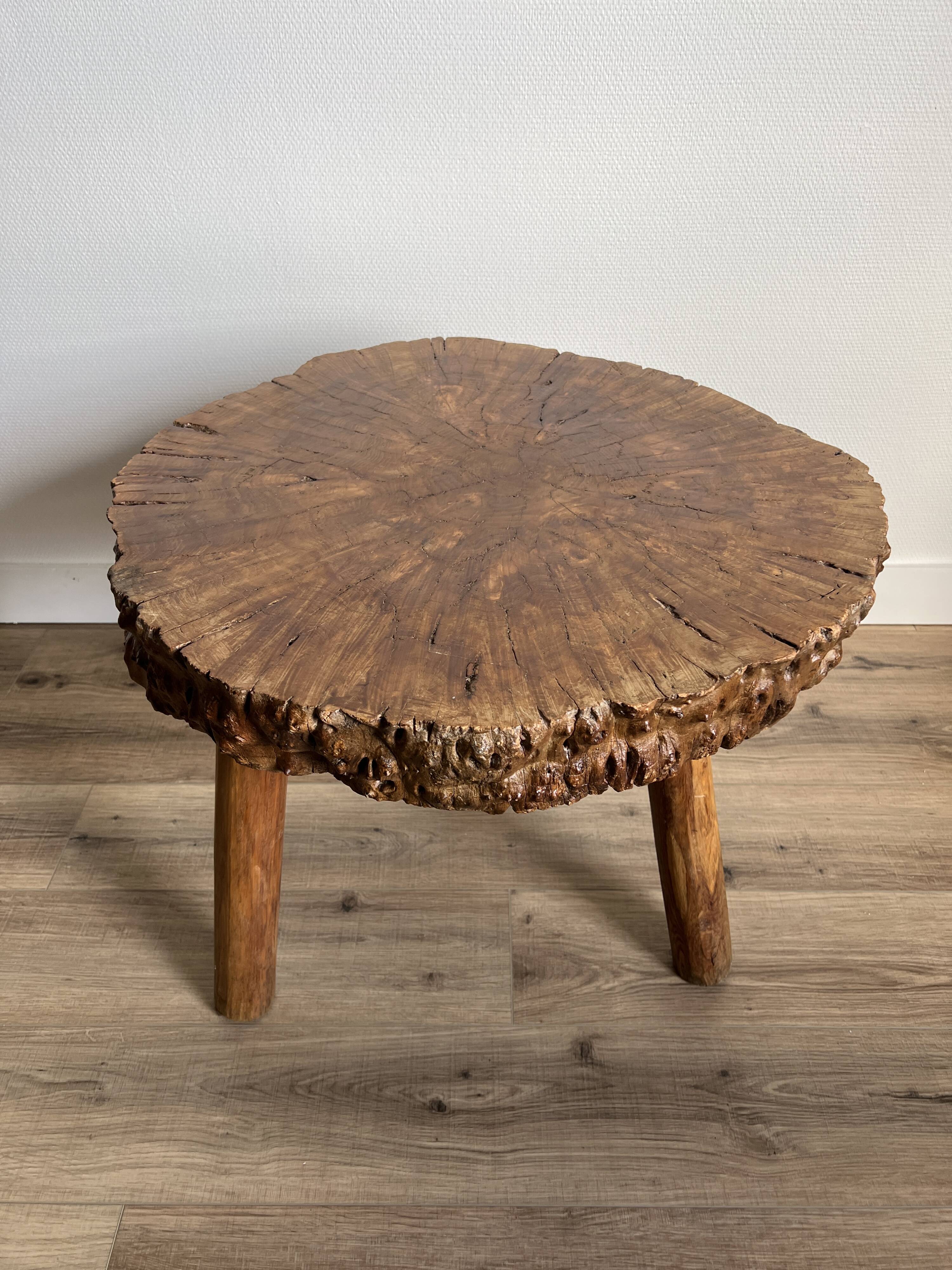 Brutalist tripod coffee table in elm burl, 1950.