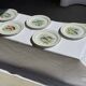 Set of 6 vintage Limoges porcelain plates with fish design.