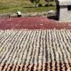 Vintage Moroccan Berber rug with multicoloured stripes – 332 x 244 cm