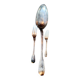 Large serving spoon in very old sterling silver