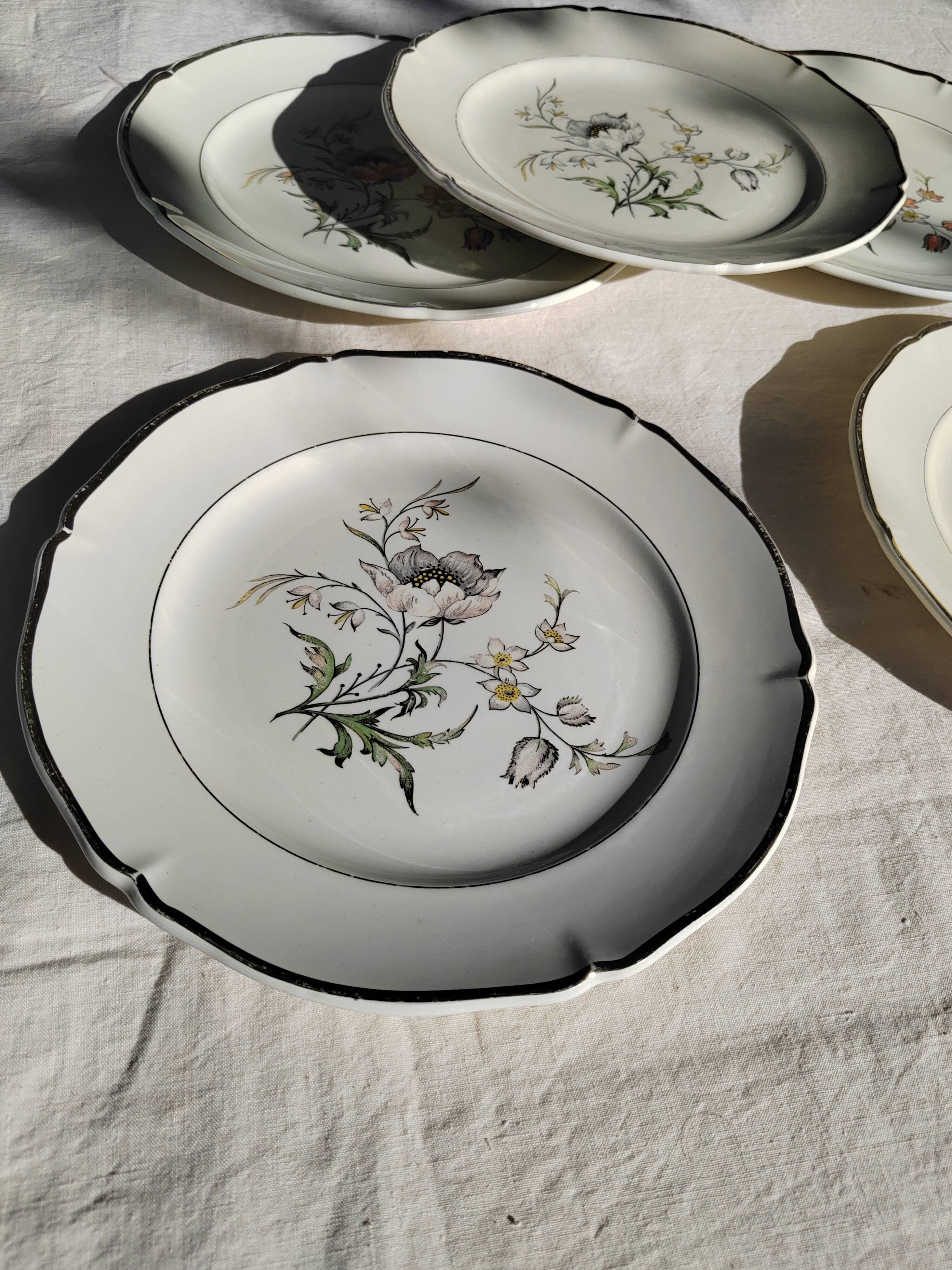 6 flat plates “Saverne” Saint Amand