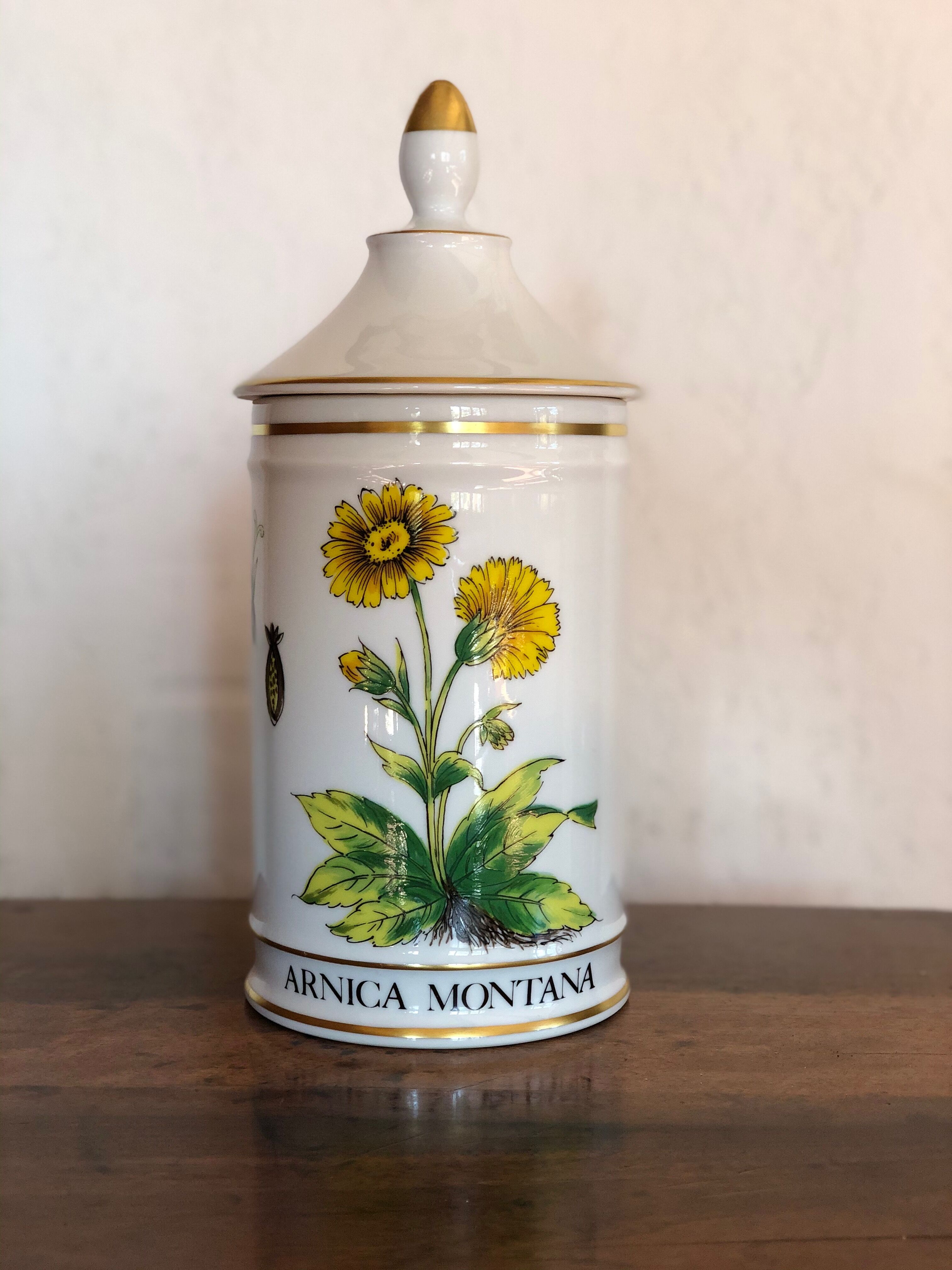 Pharmacy pot "arnica montana"