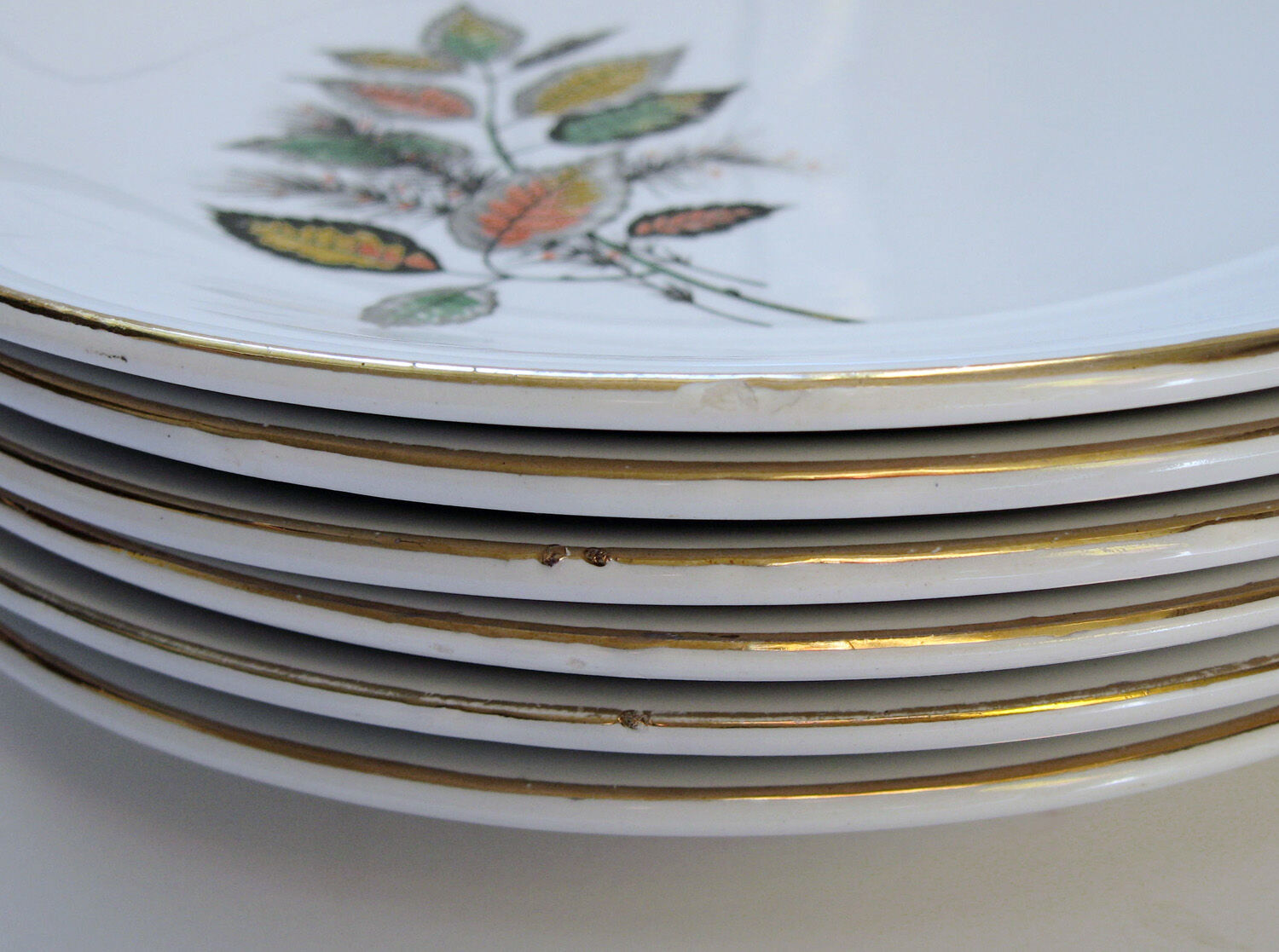 6 flat porcelain plates - foliage decoration Sous-Bois - Digoin & Sarreguemines France