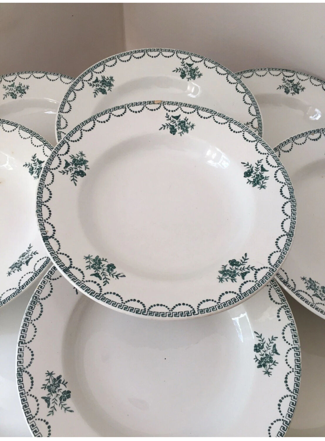 Ensemble de 9 assiettes Terre de fer fleurs vertes St Amand