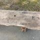 Old wooden workbench furniture by trade with vice