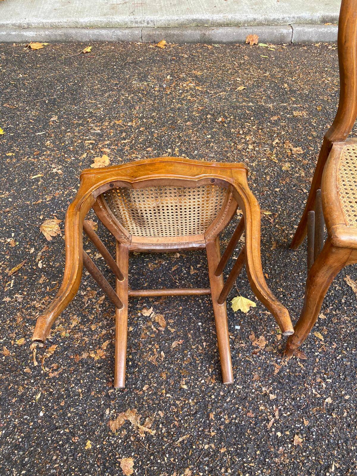 2 Louis Philippe caned chairs in solid wood from the 20th century