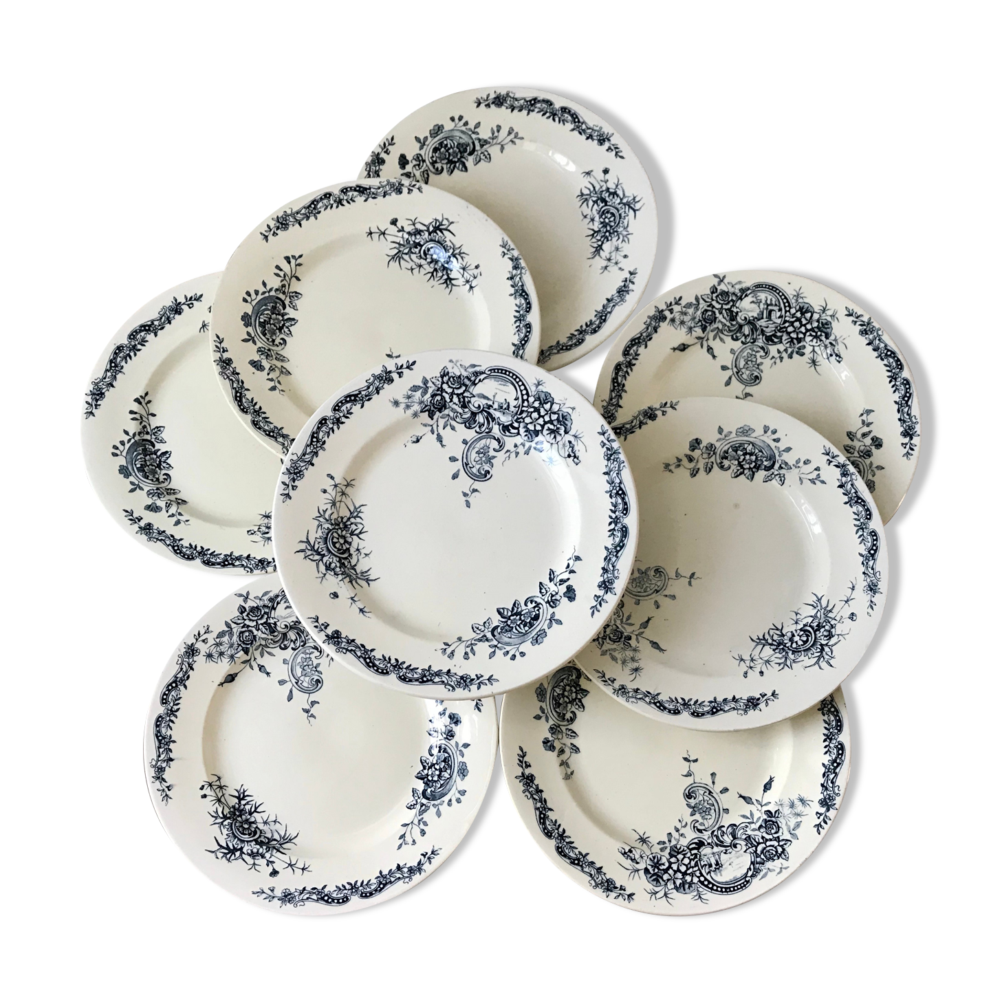 Set of 8 flat plates Terre de Fer Salins model "Rocailles" late nineteenth