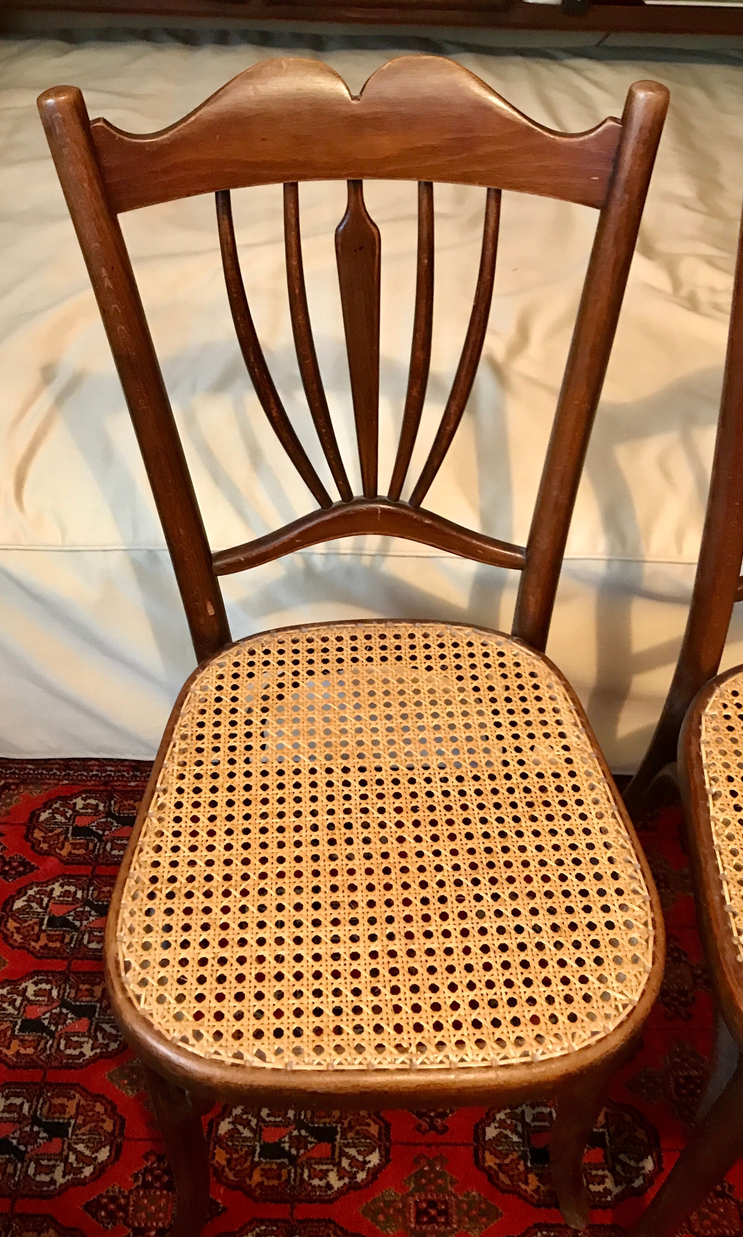 Paire de chaises fischel
