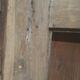 Oak door without windows