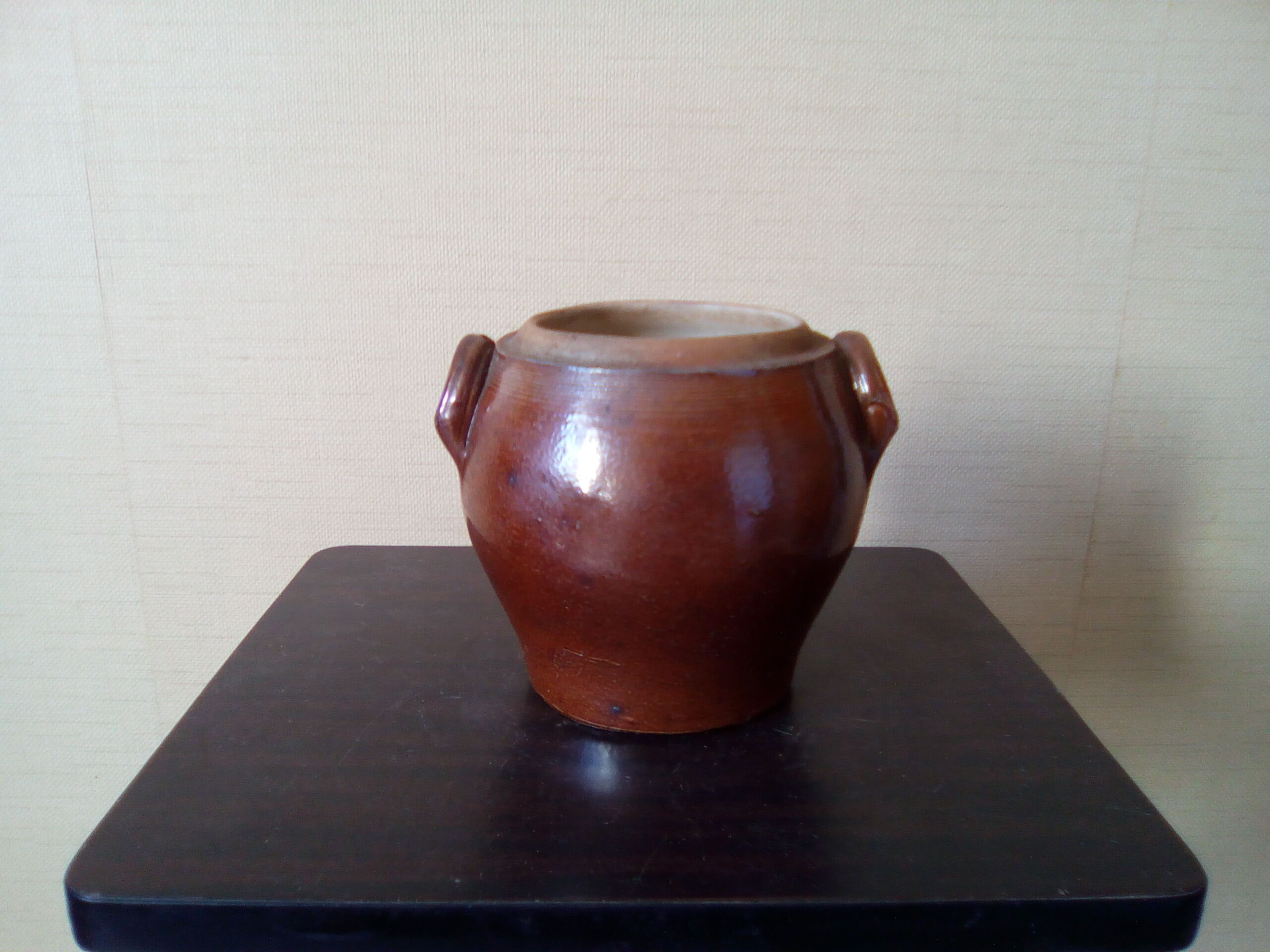 Elegant little salt pot in the shape of a rumen pot