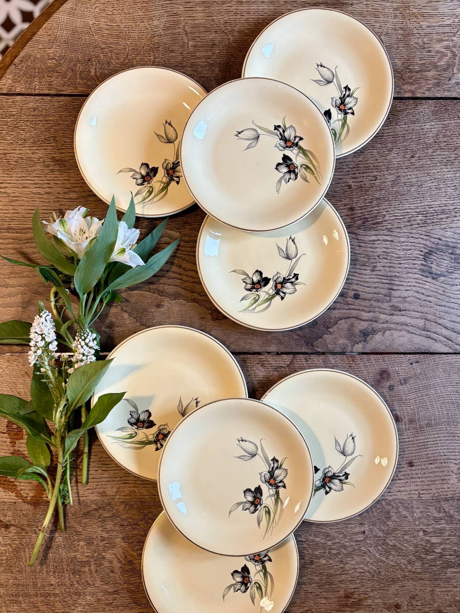 Set of 8 vintage dessert plates, Tulipe by Céranord
